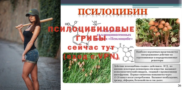 метадон Нея