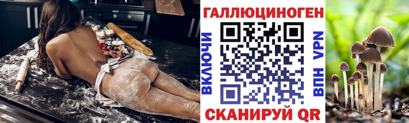 Псилоцибиновые грибы Psilocybe  Аксай 