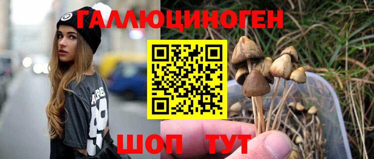 Псилоцибиновые грибы Psilocybine cubensis  Вход с VPN  где можно купить   Аксай 
